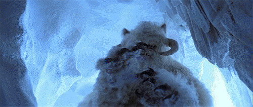 wampa.gif