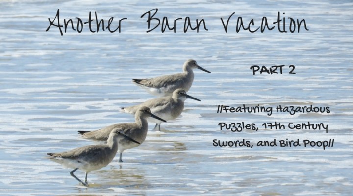 Another Baran Vacation part 2