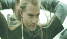 8d7faf8cfe3dc9e0ee6229a4ade865d5