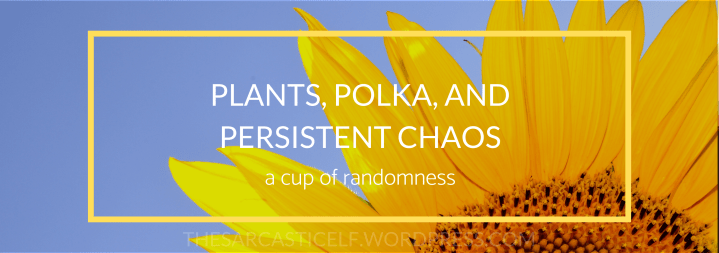 Plants, Polka, and Persistent Chaos // a cup of&nbsp;randomness